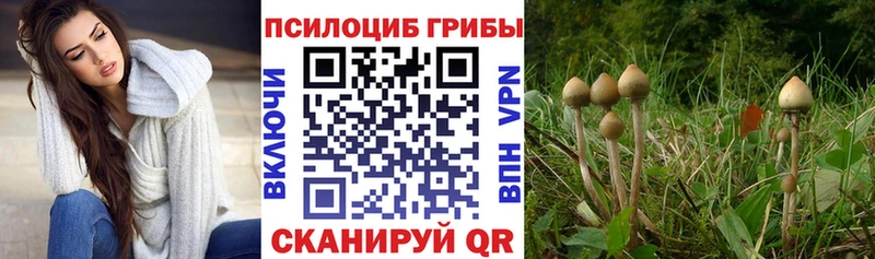 МЕГА онион Приморско-Ахтарск Псилоцибиновые грибы ЛСД